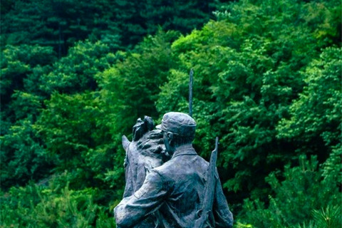 走进九公山长城纪念林，寻找那些沉默却厚重的父爱印记