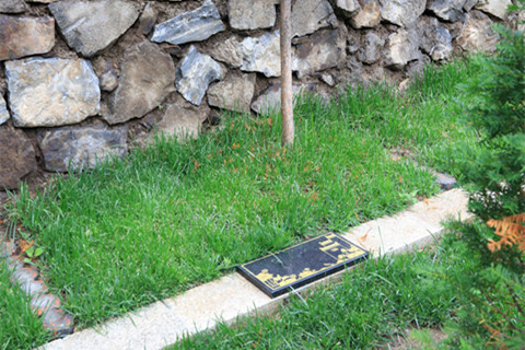 九公山长城纪念林树葬便宜墓碑在多少钱？树葬墓地价格表最新