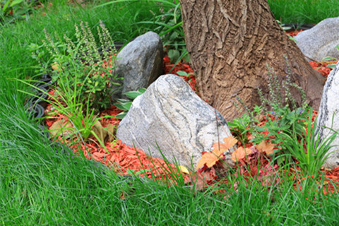 怀柔九公山长城纪念林陵园有树葬吗?2025年11月树葬墓型最新价格表