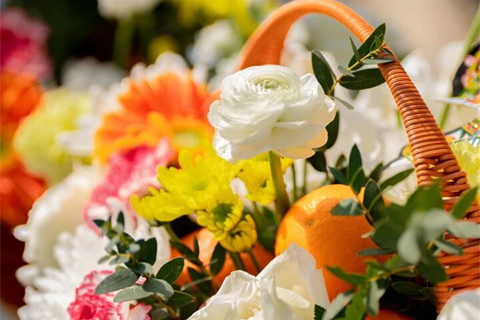 在这个薄雾轻笼的初冬,请接收一封来自怀柔九公山长城纪念林山谷深处的信笺