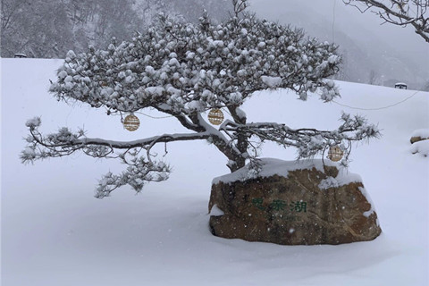北京初雪轻覆九公山山,步步皆景，处处含情
