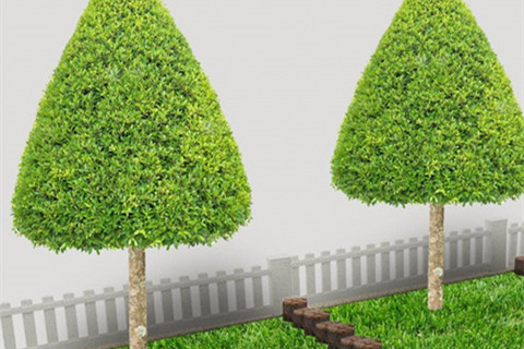 万元以内生态葬怎么选？九公山树葬、清颐园壁葬、施孝园花坛葬深度对比