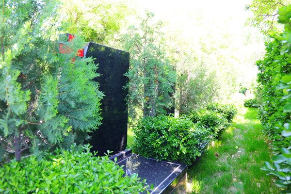 树葬怎么选？九公山、灵山宝塔、中华永久陵园横向对比，一看就懂