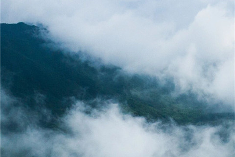 睡在云里，藏在青山，九公山独有的温柔归处