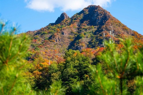 怀柔九公山长城纪念林的秋天：从不是萧瑟的落幕,而是温柔的重逢