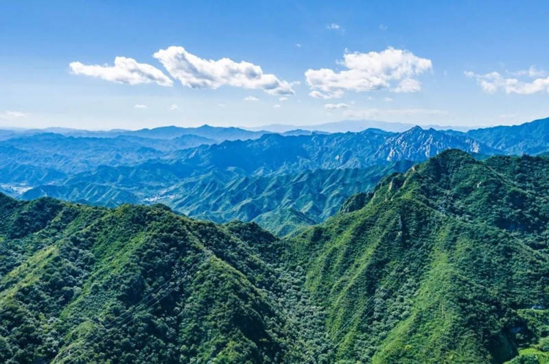 陵园美景