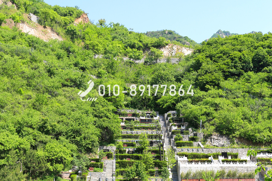 怀柔树葬陵园景观