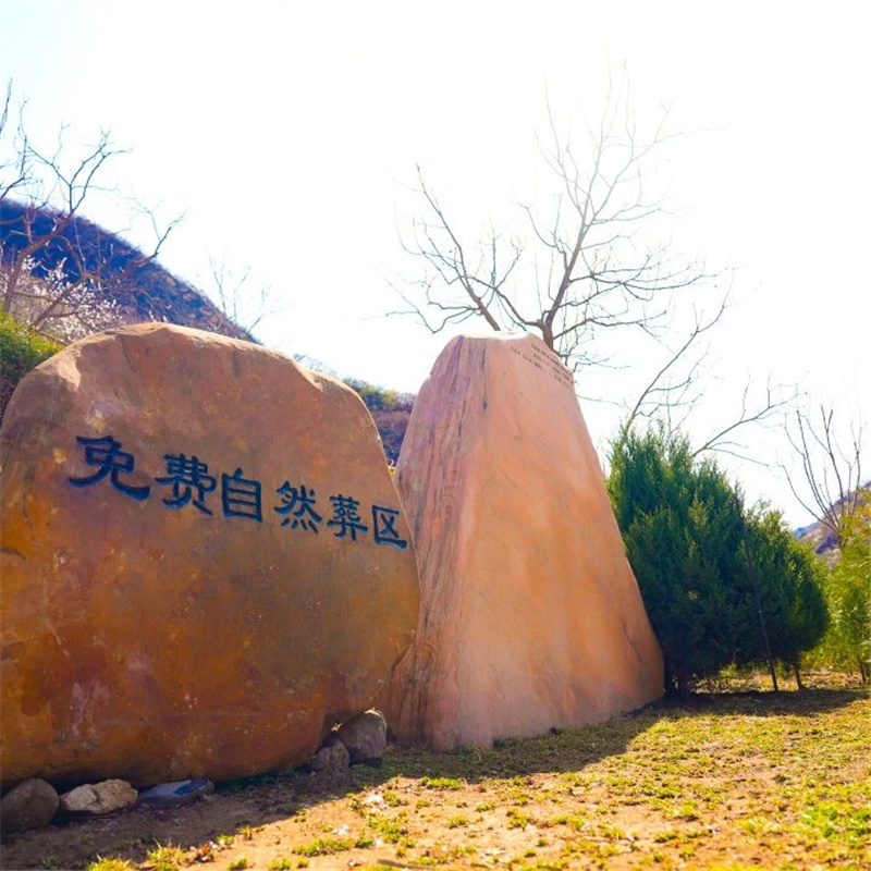 生态葬