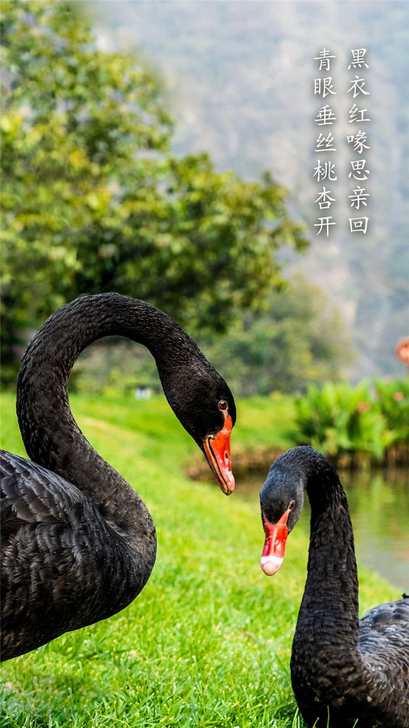 春色