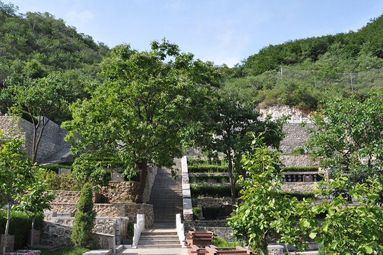 陵园绿化