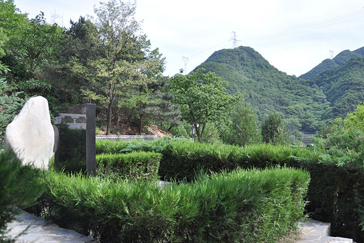 陵园环境