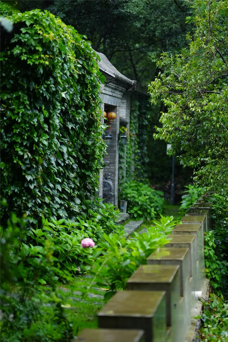山野