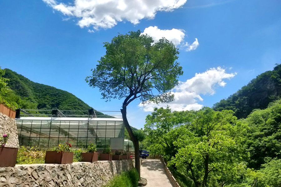 九公山长城纪念林景观