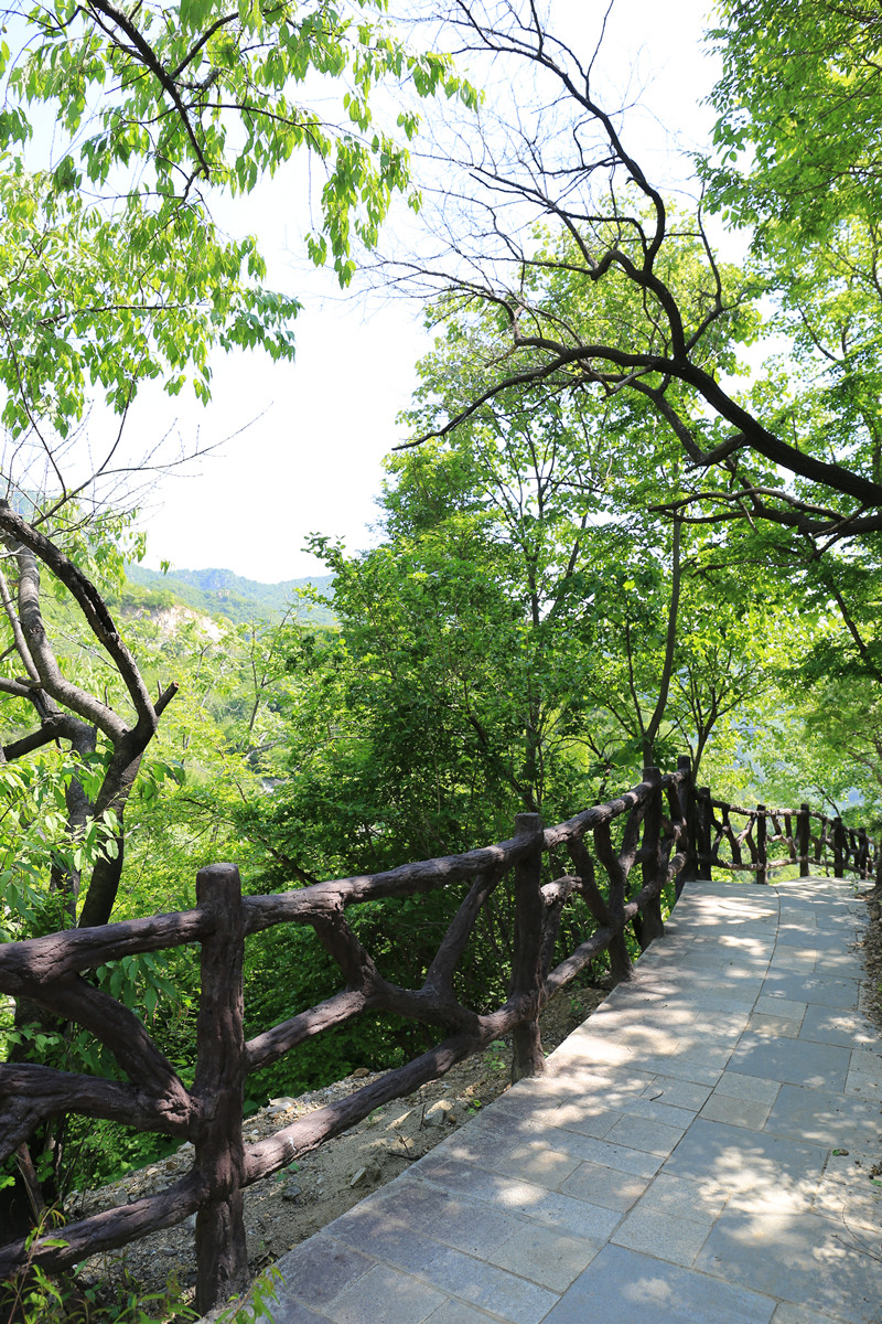 园区环境 园区环境