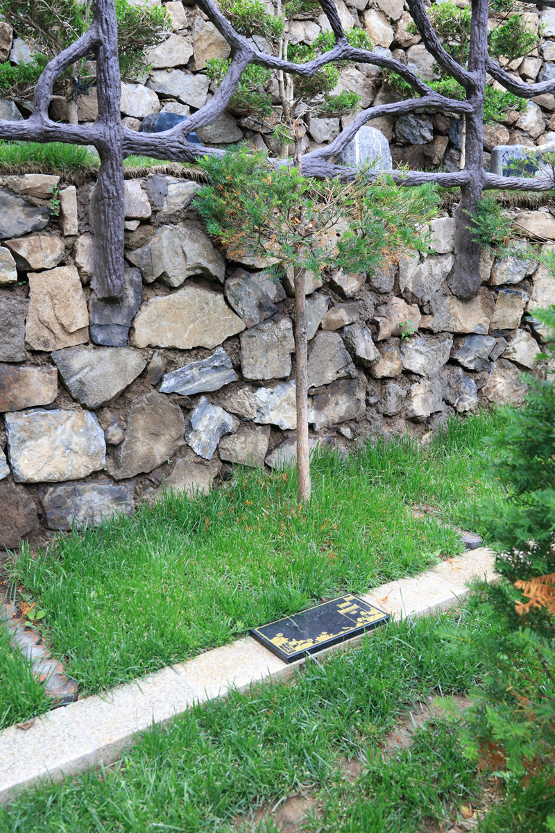 树葬-翠影-105000元 树葬-翠影-105000元