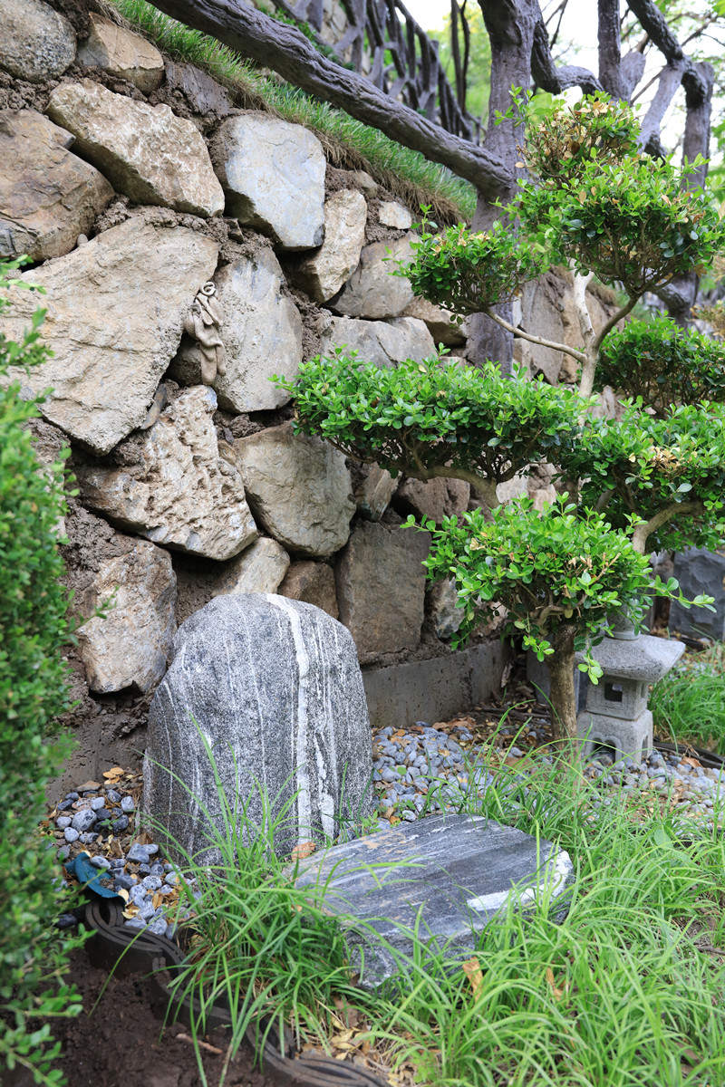 树葬-160000元 树葬-160000元