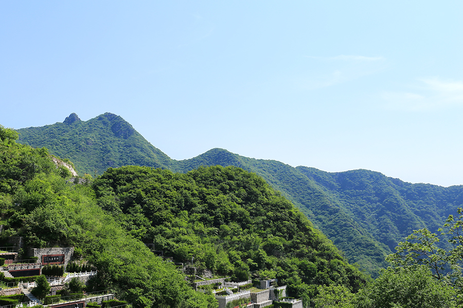 陵园绿化环境 陵园绿化环境