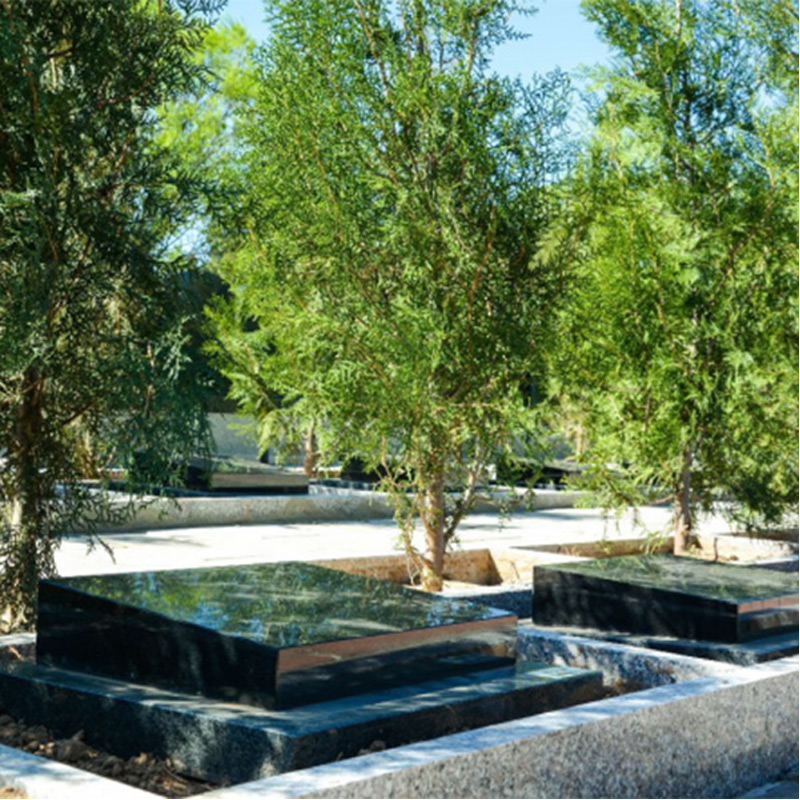 中华永久陵园树葬