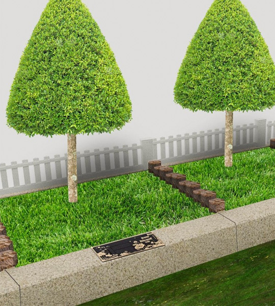 九公山树葬 九公山树葬