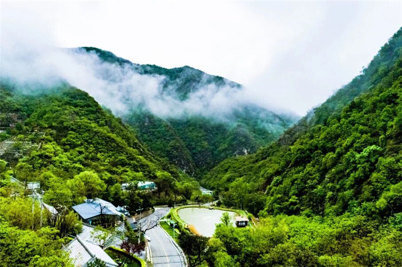 陵园风景
