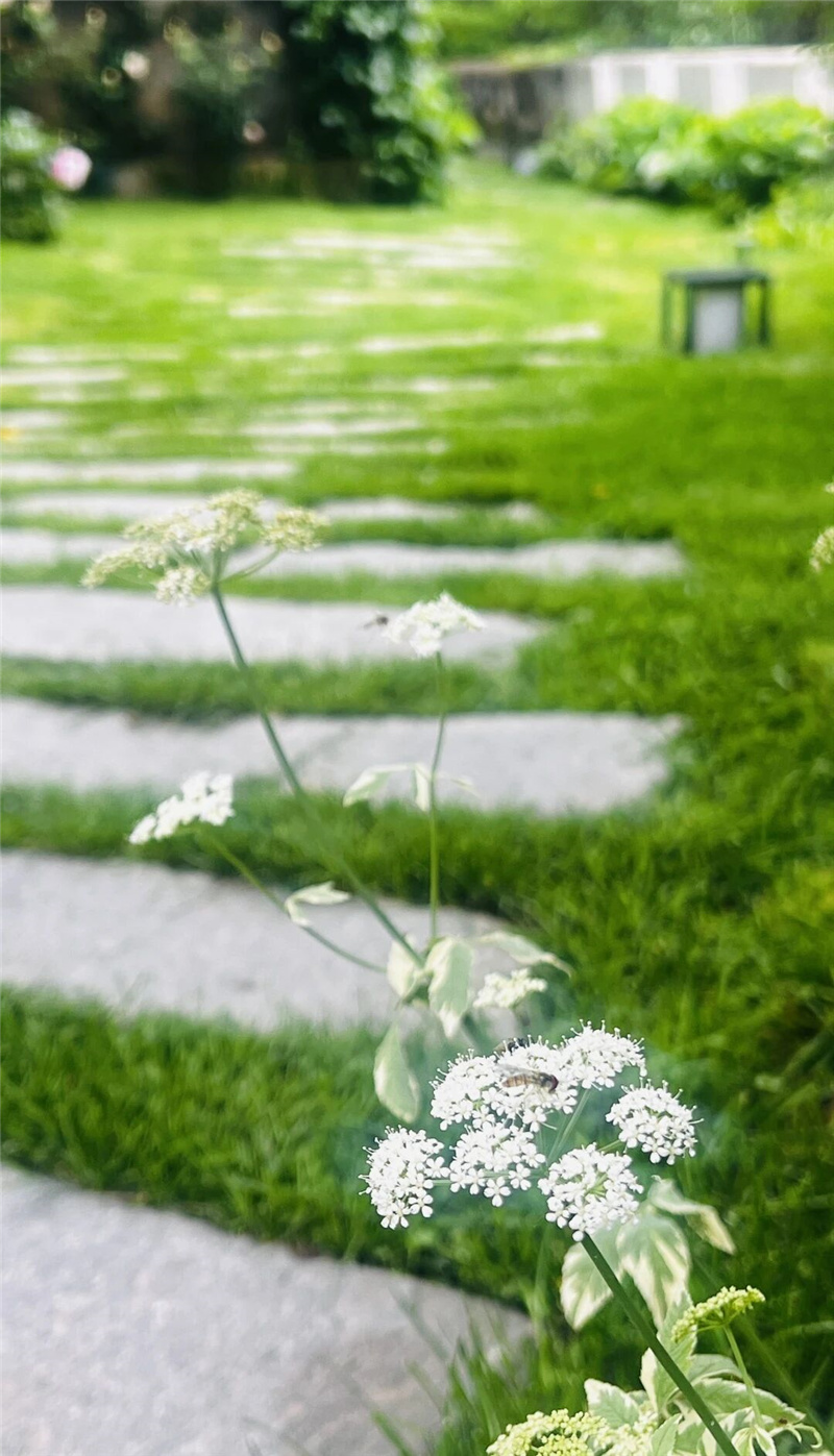 花 花