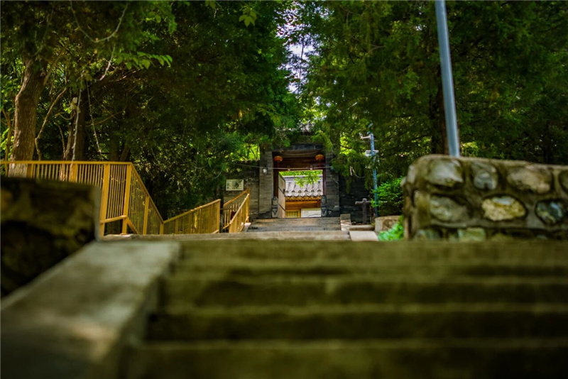 山舍