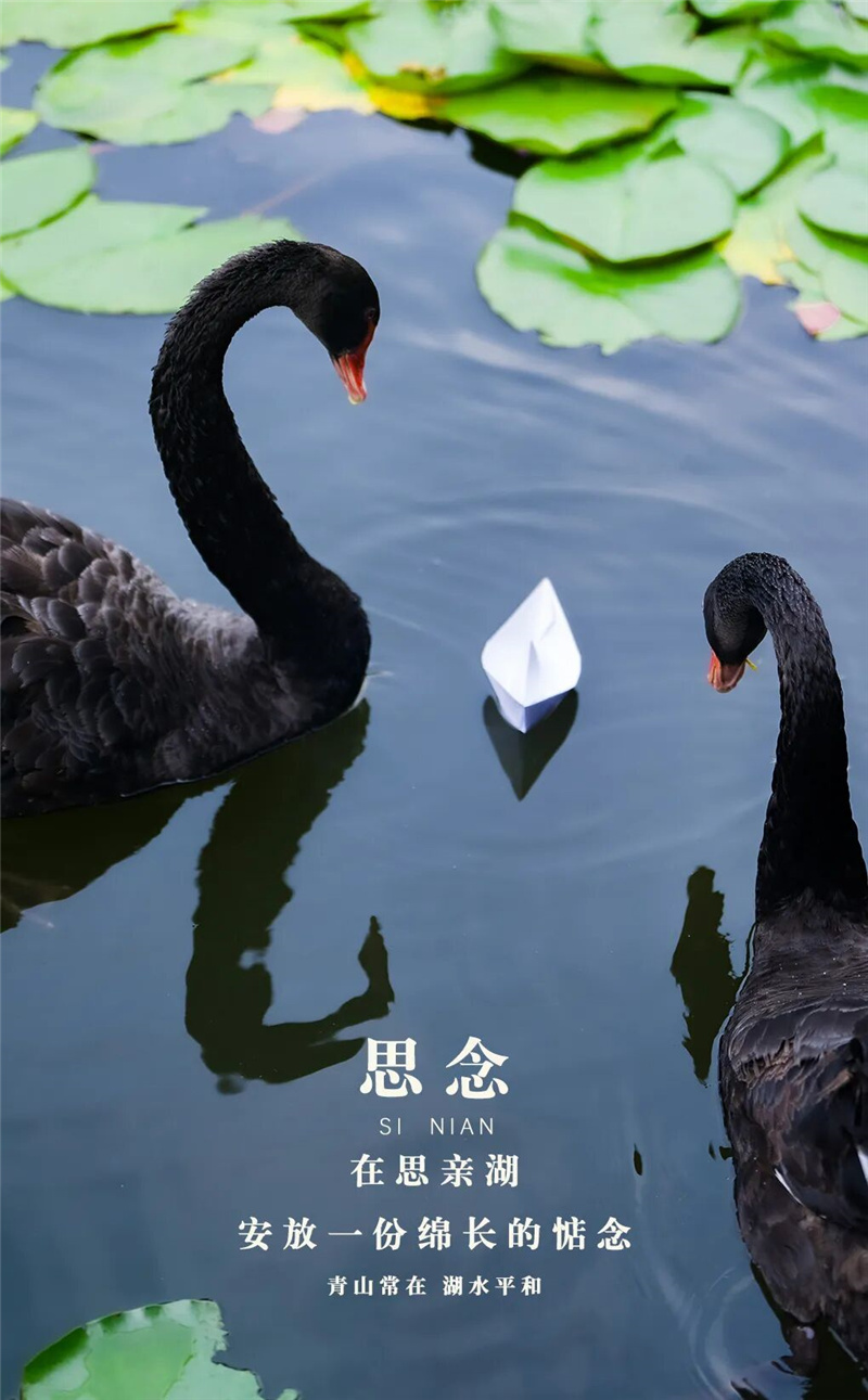 思念