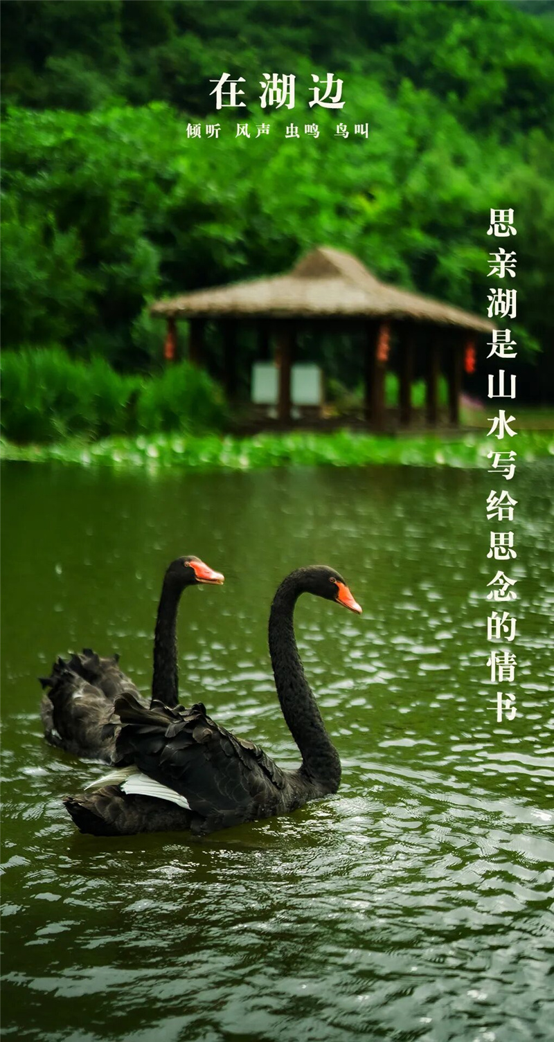 思亲湖