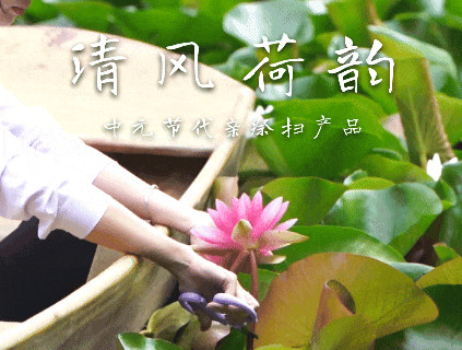清风荷韵