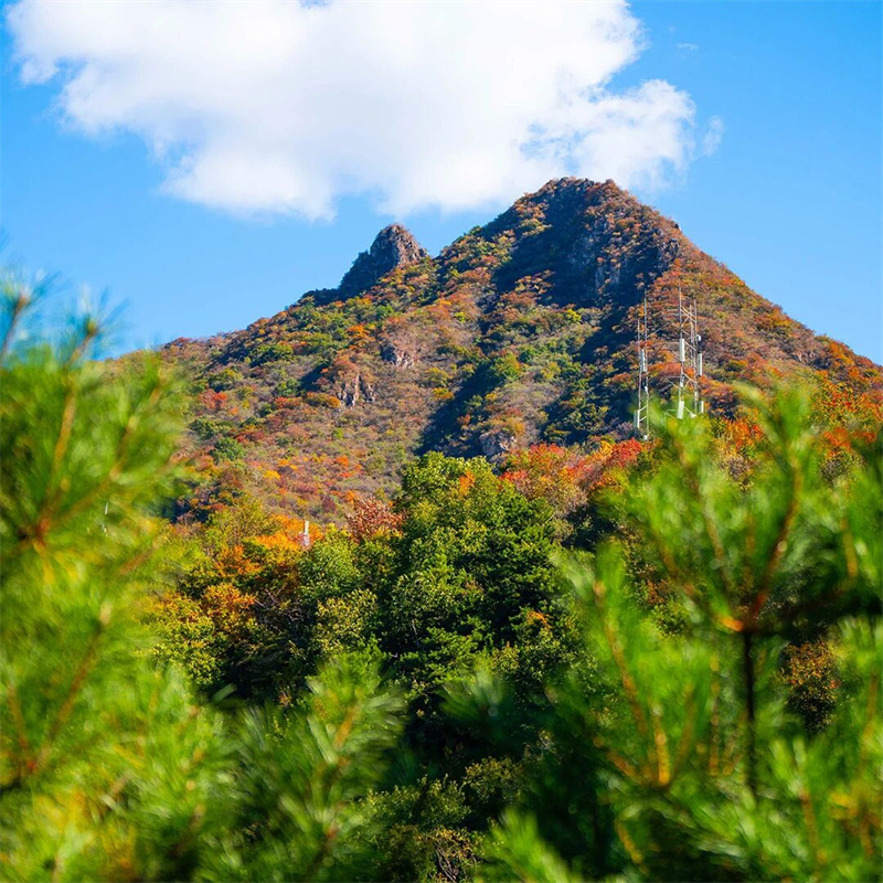 秋景